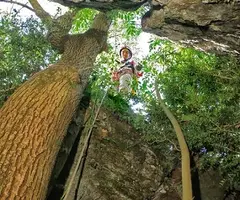 Fotografia de BELLABRIGA, SISTEMA DE LA (7 de 10)
