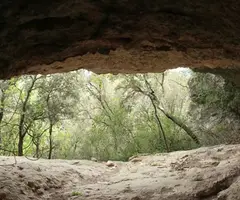 Fotografia de ARTIGA, COVA Nº1 DE L' (2 de 4)