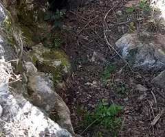 Photographie de MOLÍ, AVENC DEL (2 sur 6)