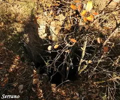 Photographie de GURP, GRALLER DE (9 sur 17)