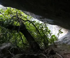 Photographie de ESTENALLES, COVA D' (1 sur 2)
