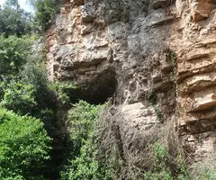 Fotografia de AFRAU, COVA II DE L' (1 de 7)