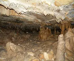Fotografia de BONICA, COVA (6 de 18)