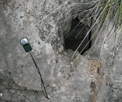 Fotografía de PIC, AVENC DEL (1 de 1)