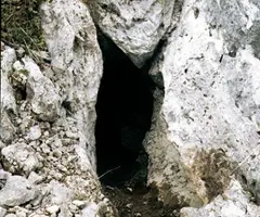 Photograph of BONA VISTA, AVENC DE LA (1 of 1)
