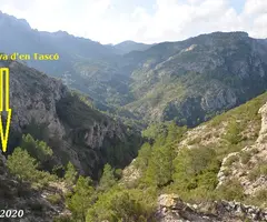 Photographie de TASCÓ, COVA D'EN (1 sur 4)
