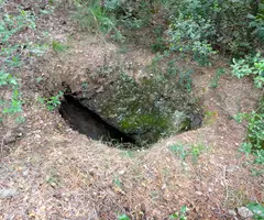 Fotografia de PUJOL DEL MAS PINETÓ, AVENC DEL (1 de 1)