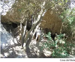 Photographie de BOIXAR, COVA DEL (1 sur 4)