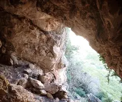 Fotografia de PUNTA DE LA VALL DEL PASTOR, COVA DE LA (6 de 6)