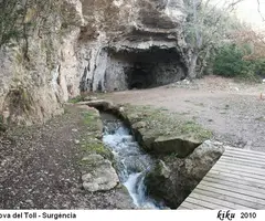 Fotografia de TOLL, COVA DEL (22 de 26)
