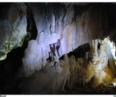 Fotografia de MORSELL, COVA DEL (3 de 4)