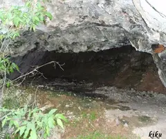 Fotografía de FREIXES, ELS (2 de 2)