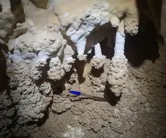 Fotografia de PEDRERA DE L'ANTIC, FORAT DE LA (7 de 8)