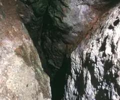 Fotografia de CASTELLASSA DEL DALMAU, COVA DE (1 de 2)