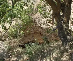 Fotografia de MUXÍ, COVA DE (1 de 6)