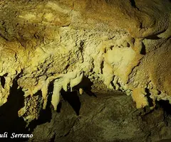 Photographie de FONT, COVA DE LA (7 sur 11)