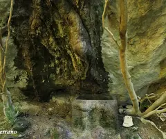 Fotografia de FONT DEL BASSI, BALMA DE LA (2 de 5)