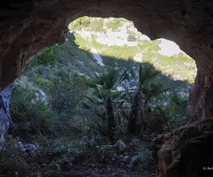 Fotografia de BASSIOL, COVA DEL (6 de 6)