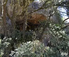 Fotografia de COVA, LA (1 de 6)