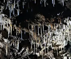 Fotografia de BARRANC DE MOREDO,  COVA Nº 1 DEL (7 de 7)