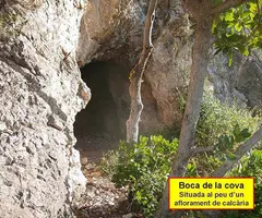 Photograph of SENECÓ, COVA DEL (2 of 5)