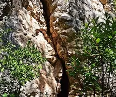 Fotografia de FALZIES, BALMA I COVA DE LES (4 de 4)