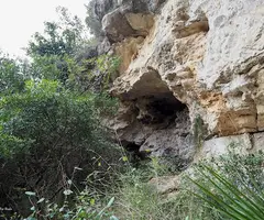 Fotografía de BUCO, COVA DEL (1 de 2)