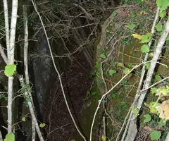 Photograph of RATAFIA, FORAT DE LA (4 of 4)