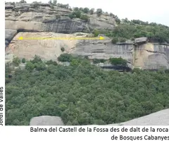 Fotografia de CASTELL DE LA FOSSA, BALMA DEL (2 de 7)
