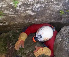 Fotografía de ARTÚS-FORAT DEL VENT, COVA D' (7 de 8)