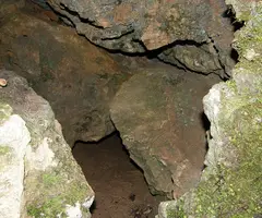 Photographie de ARRELS-CLONC, SISTEMA (10 sur 15)