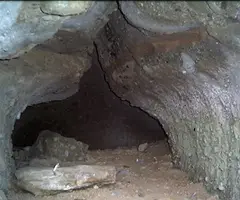 Fotografía de REBOLLEDA, COVA DE LA (2 de 2)