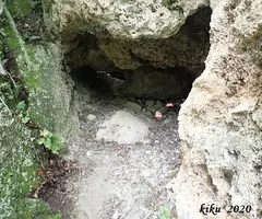 Fotografía de CALAVERA, COVA DE LA (2 de 13)