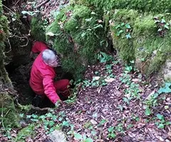 Fotografia de RASA, COVA DE LA (1 de 2)