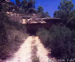 Fotografia de GORI, COVA Nº1 DEL (1 de 2)