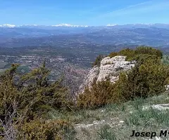 Photograph of CORRALOT, GRALLERA PETITA DEL (1 of 2)
