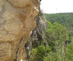 Fotografía de COSTER MITGER, BALMA DEL (6 de 6)