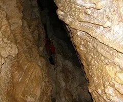 Photographie de PATXARRO, COVA (9 sur 9)