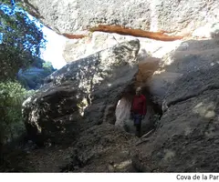 Fotografía de PARTIÓ, COVA DE LA (2 de 2)