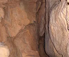 Photograph of CAN NOFRE, TUTA DE (6 of 6)