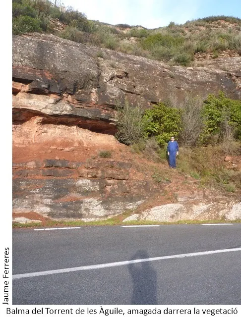 Fotografia de Balma del Torrent de les Àguiles
