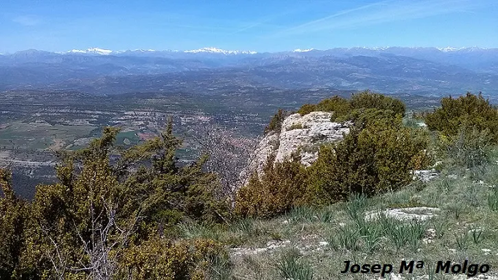 Photographie de Grallera Petita del Corralot (1 sur 2)