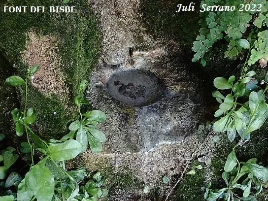 Fotografia de Cova del Bisbe (7 de 7)