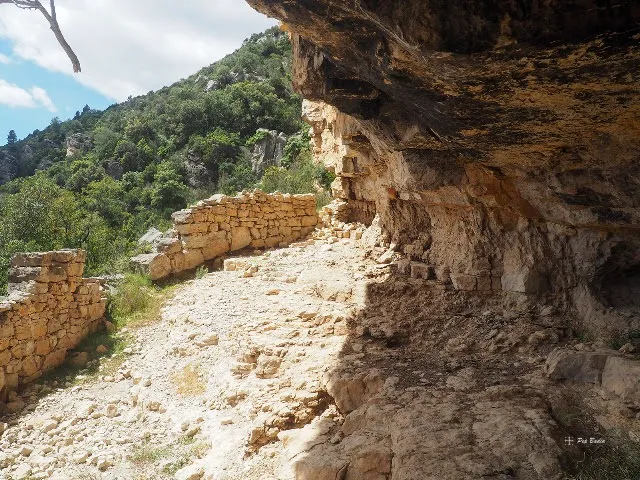 Fotografia de Cova de la Cabra (3 de 3)