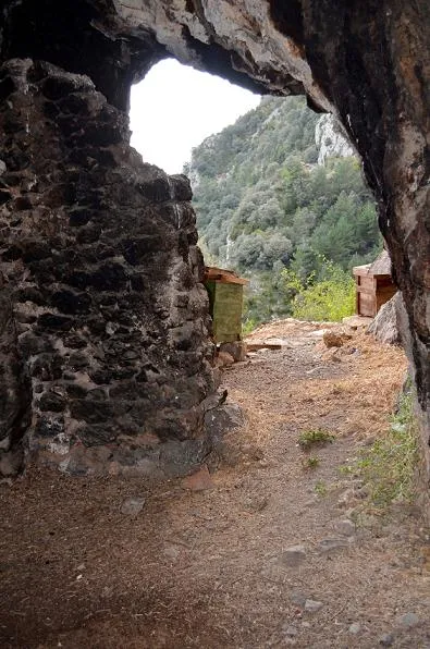 Fotografia de Cova de la Casa Vella (4 de 5)
