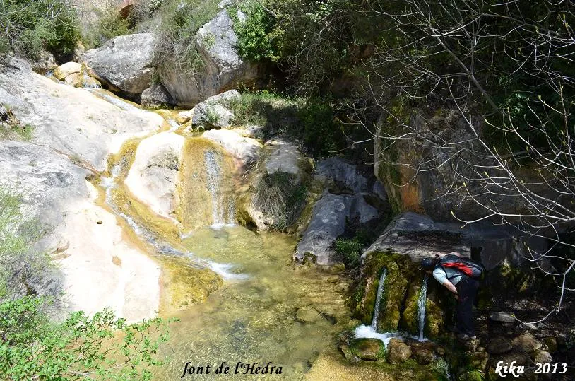 Fotografía de Cova del Castejon (1 de 4)