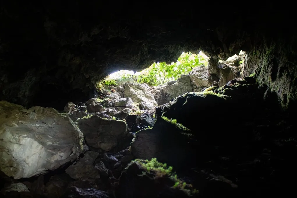 Fotografia de Cova Nº3 del Collet (6 de 6)