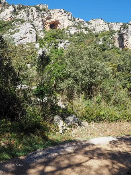 Fotografia de Forat Roig (1 de 3)