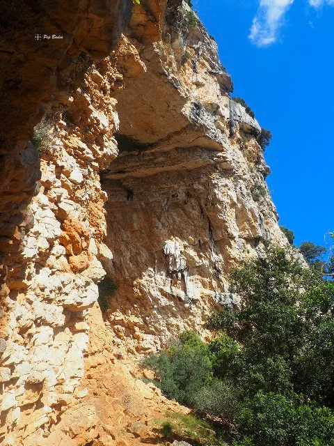 Fotografia de Forat Roig (2 de 3)