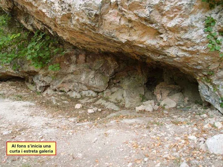 Fotografia de Balma del Serrat del Pont (3 de 4)